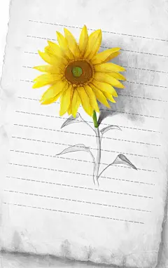 小小彤  的插画 花绘