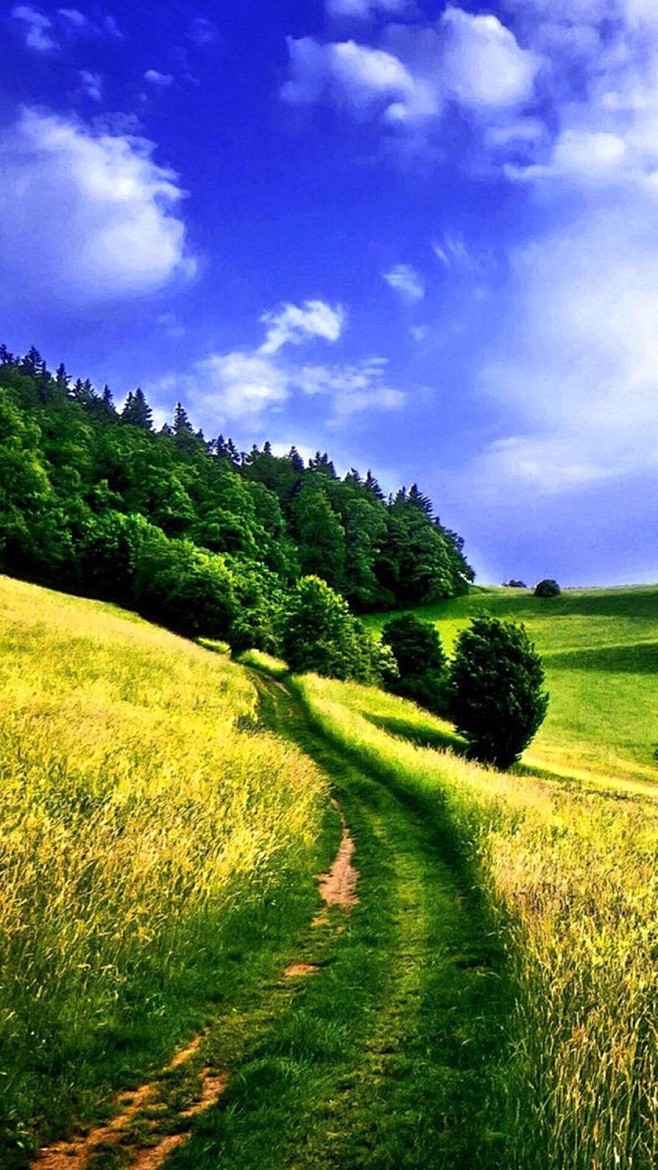 风景