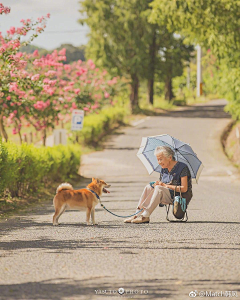 果果家的皇太后采集到人物