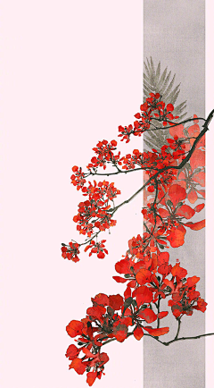 ·Rinno·采集到伊吹五月鸡腿子