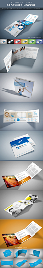 Square Tri-Fold Brochure Mock-Ups on Behance