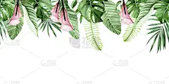 水彩无缝边界，框架与绿色的热带叶子和粉红色的花朵。卡拉花，棕榈叶，怪兽，芭蕉叶孤立在白色背景上。图案