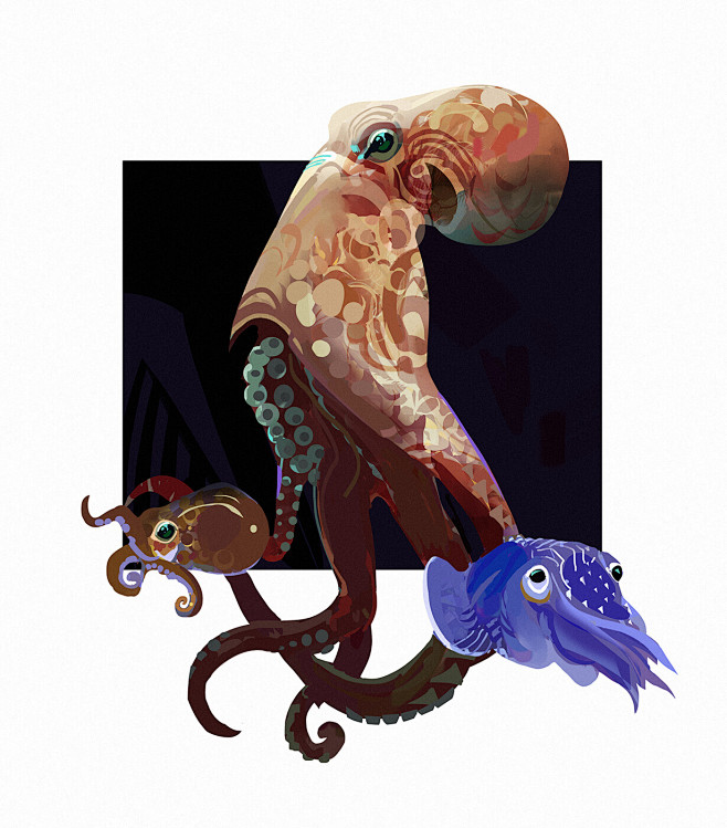 Octopus and Squid, H...