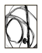 "Plant Cell 2" - Art Print by Mary Gaspar in beautiful frame options and a variety of sizes.