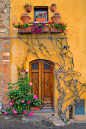 砖和藤蔓
沃尔泰拉，托斯卡纳，意大利