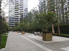 西西风采集到登高场地
