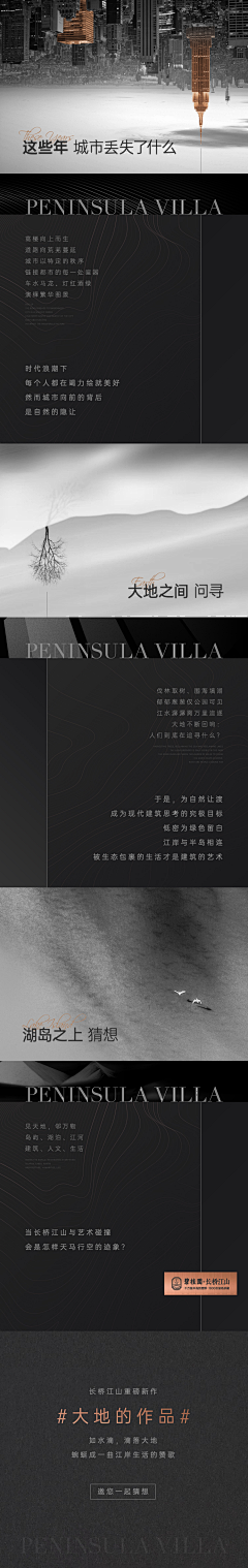 Young先森采集到深色高级公众号长图系列