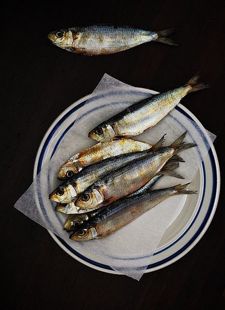 herring | Food & Dri...