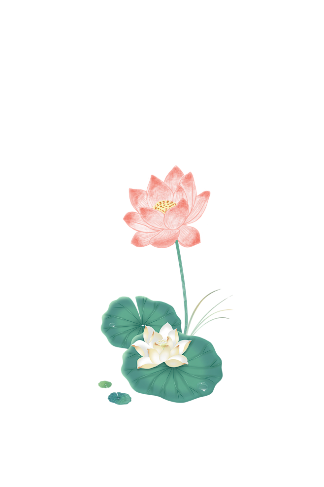 荷花元素