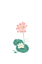 荷花元素