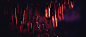 THE DIVISION on Behance