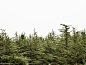 Undiscovered : How far shall we travel to see unexplored lands? How much should we seek, to see the true faces of nature that have never been captured before?Photographs of Undiscovered introduce Madeira's exceptionally multifarious flora. Focusing on the