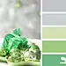 Design Seeds® | for all who ❤ color
