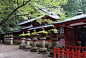 二荒山神社中满是参天巨杉,日日登