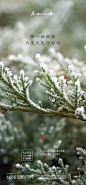 小雪节气海报