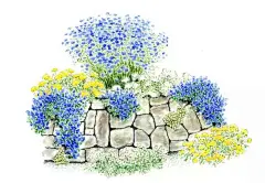 手绘花镜 (2)