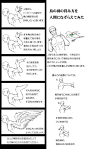 学习手臂画法画出肌肉发达的上半身插画 - 还有肩膀和肱二头肌 - pixivision