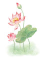 2aa593bec3c1be8d6eb0696d7be1a98b9b13079f715940-CbACtU_fw240webp_看图王