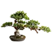 别墅样板房装饰摆件 新中式迎客松盆景仿真植物盆栽家居客厅摆设-淘宝网