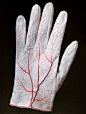 Meret Oppenheim  "Pair of Gloves"  (detail)  1985