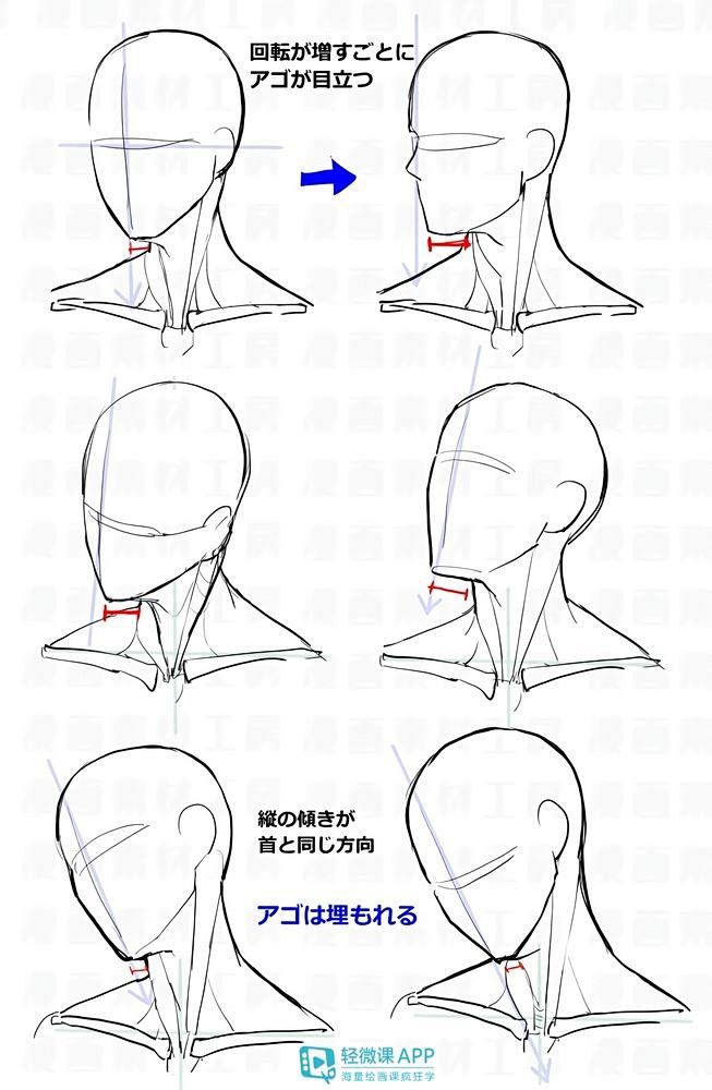 如何画好头颈肩的关系? - 知乎 : 一...