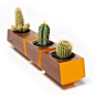 Wooden planters feature a pop of color.