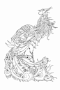 山海經-鳳凰：開明北有視肉、珠樹、文玉樹、玗琪樹、不死樹。鳳凰、鸞鳥皆載瞂。又有離朱、木禾、柏樹、甘水、聖木、曼兌，一曰挺木牙交。