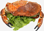 西班牙面包蟹高清素材 png 页面网页 平面电商 创意素材 png素材