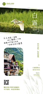 白露旅游出行节气祝福实景风全屏竖版海报