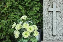 坟上一束秋菊