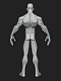 Stylized Average Anatomy Blockout