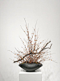 (14) Pinterest