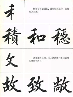 爱吃甜筒的落采集到书法