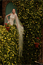 Bhldn 2015春季婚纱系列 专为花园主题婚礼定制