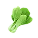 手绘青菜小白菜菠菜 绿色蔬菜素材png