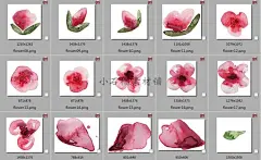 中国风水彩水墨粉色玫瑰花花瓣贺卡名片图案PNG设计素材png367-淘宝网