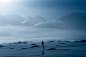 Behance 上的 Swedish Lapland 2023