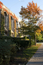 秋季大学校园