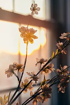 花底相看无一语，
绿窗春雨天俱暮