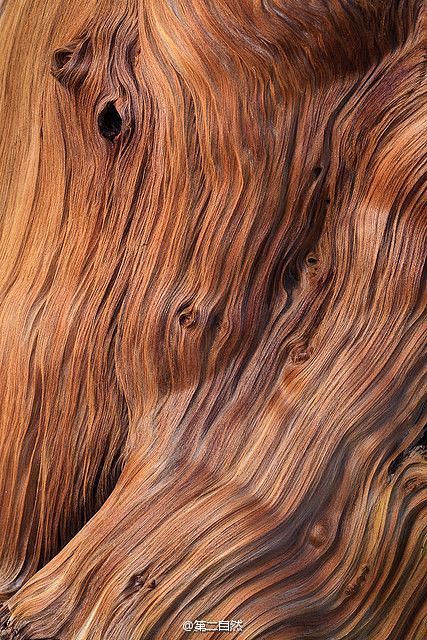 #材质第二自然#木的纹理，是自然留下的印...