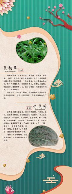 沈孤风采集到2d
