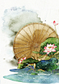 “清水出芙蓉，天然去雕饰”——荷