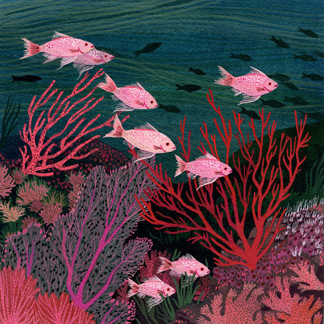 coral reef : Giclée ...