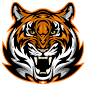 874791老虎 Tiger-1
