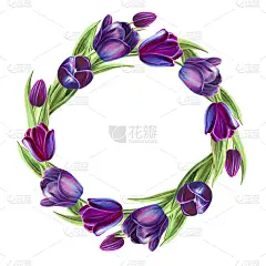 美丽的黑色郁金香花束组成的花环。花收集。标记图。水彩画。