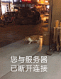 《赛博朋克2077》更加容易沟通客服退款，不限时长 - 主机平台 - 其乐 Keylol - 驱动正版游戏的引擎！