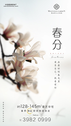 广西美男采集到艺术字体