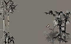 芒果果/采集到芒果果自制底图系列