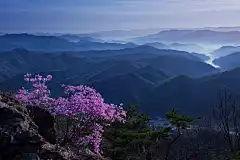 季相 春 
The signs of spring. by Heonyong LIM on 500px