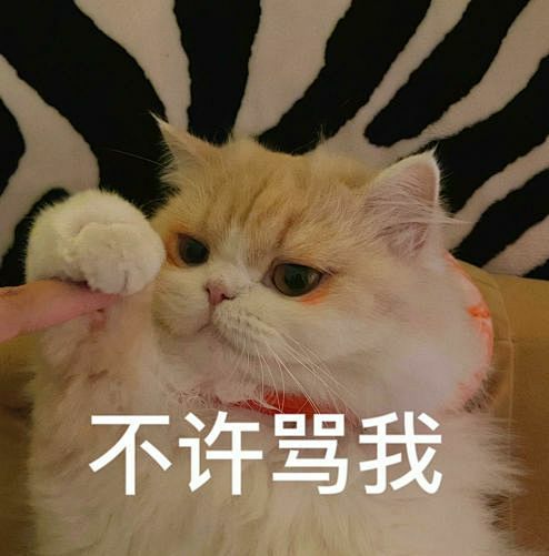 猫猫表情包
@是狐不是白 收集